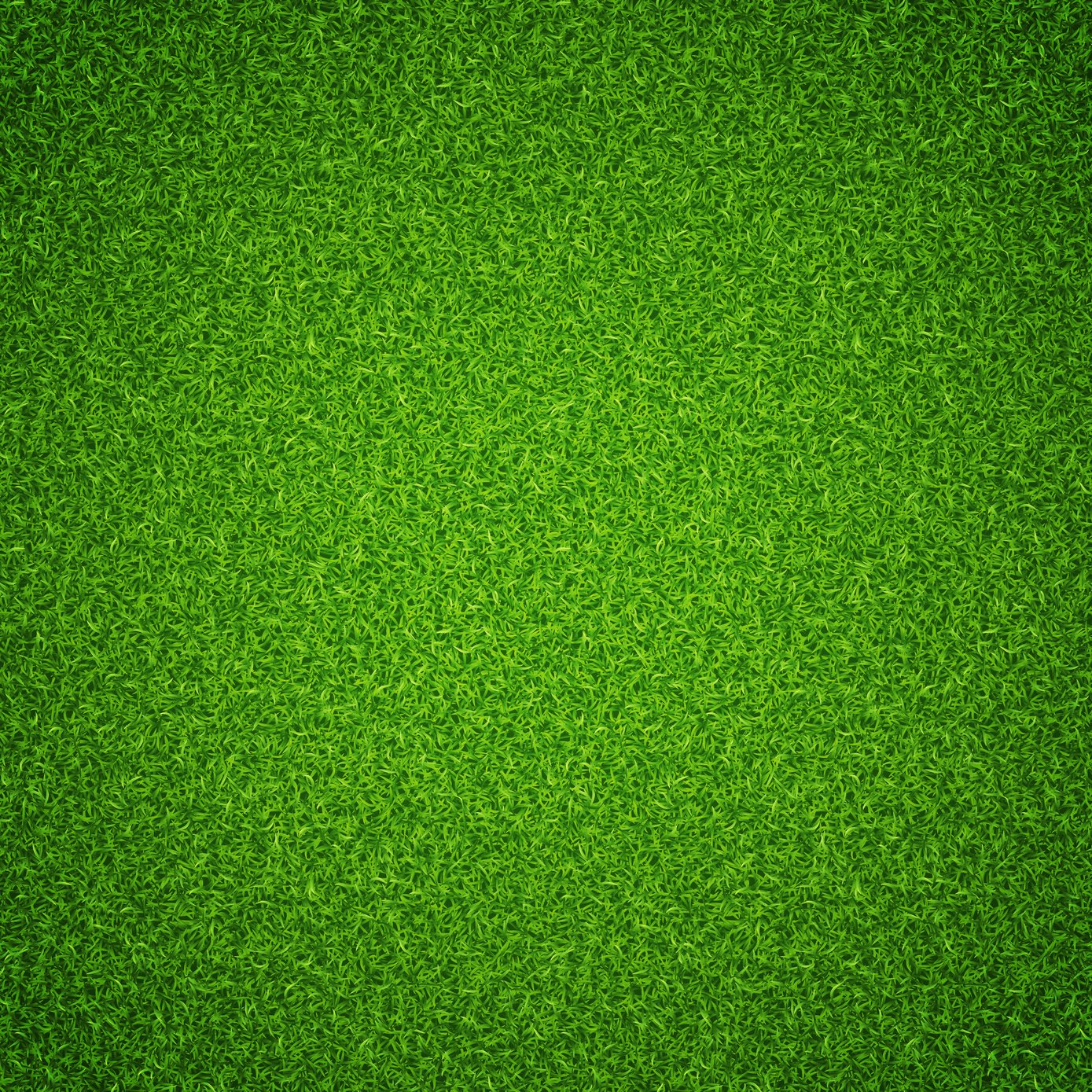 Green grass texture background.